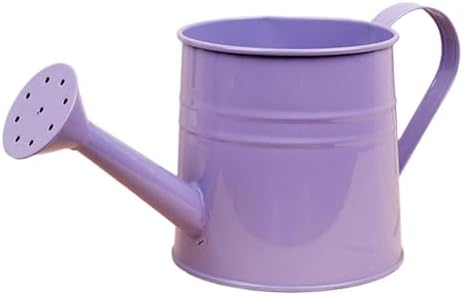 Small Watering Can, 1L Metal Flower Garden Watering Can, Gardening Tool Accessories for Outdoor Indoor Plants Lawn (Purple) - Image 6