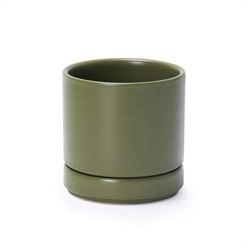 D'vine Dev 4.7 Inch Ceramic Planter Pot, Olive, 94-O-B-J by DvineDevPlanterPotsandStand