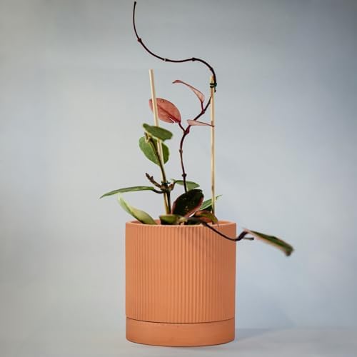 HERDUK Modern Terracotta Pots, 6 Inch Ribbed Textured Clay Planter Pots with Drainage Hole & Saucer, Garden Pots for Indoor/Ourdoor Plants, Succulent Cactus & Herb - Image 7