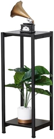 Dipion 31 Inch Tall Plant Stand Indoor,2 Tier Pedestal Stand Table,Black by CozyTimes