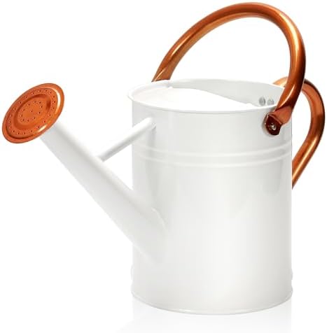 Metal Watering Can with Removable Spout, Galvanized Watering Can, Perfect for Indoor Use and for Outdoor Use (1 Gallaon, White) by Ausluru
