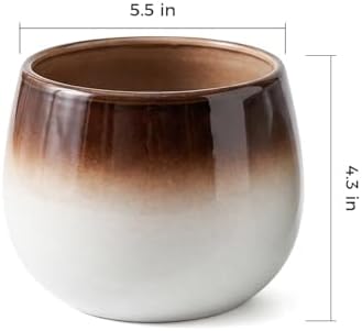 Ceramic Plant Pots, 5.5 Inch Indoor Planters, Ombre Glaze for Houseplants - Image 2