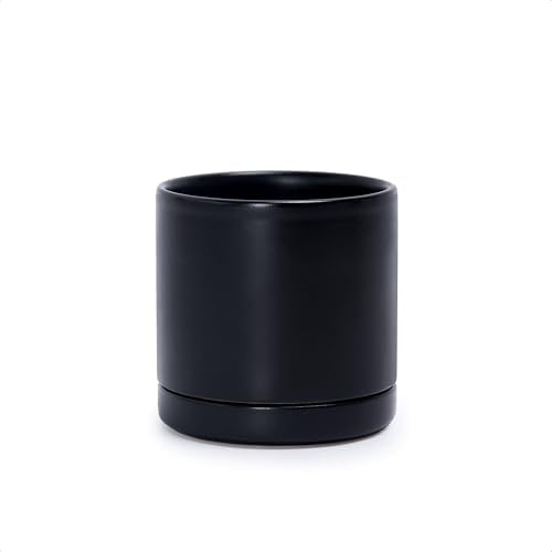 D'vine Dev 3.5 Inch Ceramic Planter Pot, Black, 94-O-A-2 by DvineDevPlanterPotsandStand