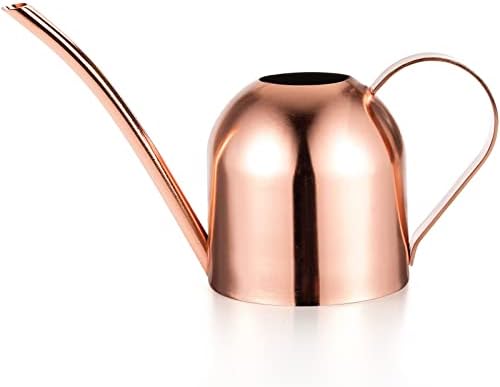 Fasmov Stainless Steel Watering Can, Small Modern Style Watering Pot, 15oz/450ml Plant Watering Can with Long Spout to Prevent Spillage, Perfect for Outdoor and Indoor Plants (Copper) by Fasmov