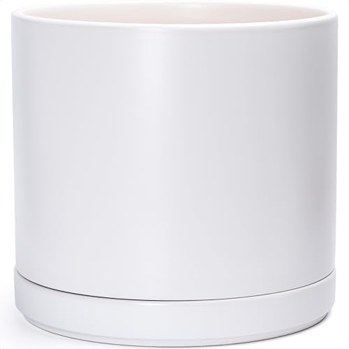 D'vine Dev 16 Inch Ceramic Planter Pot, White, 94-O-H-1 by DvineDevPlanterPotsandStand