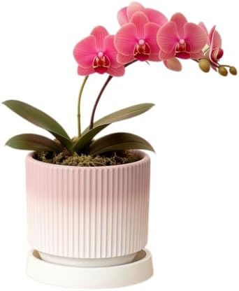 Cuteforyou 5.1 Inch Modern Textured Ceramic Succulent Planter Pot – Perfect for Small Plants, Cacti & Desk Decor – Lightweight & Durable，Pink by Cuteforyou