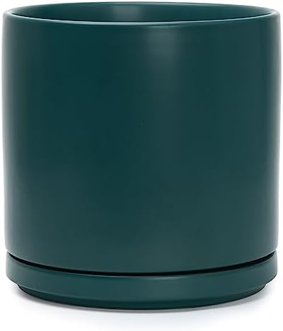 D'vine Dev 10 Inch Ceramic Planter Pot, Teal, 94-O-E-9 by DvineDevPlanterPotsandStand