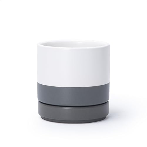 D'vine Dev 4.7 Inch Ceramic Planter Pot, White Grey, 94-O-B-6 by DvineDevPlanterPotsandStand