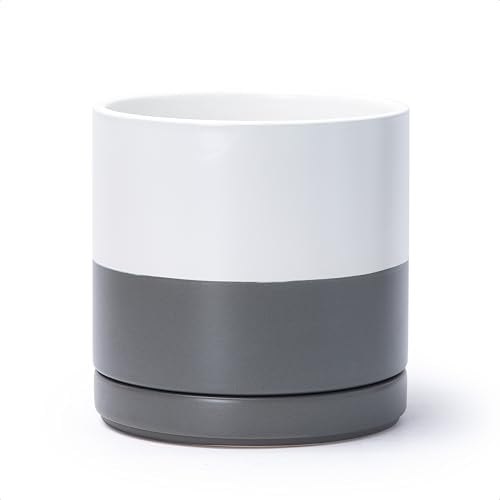 D'vine Dev 8.2 Inch Ceramic Planter Pot, White/Grey, 94-O-D-6 by DvineDevPlanterPotsandStand