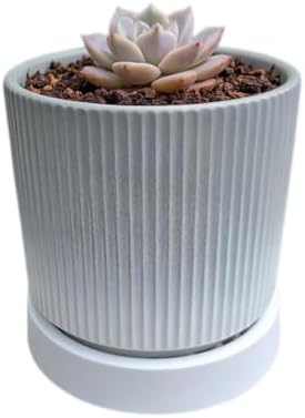 Cuteforyou 3.75 Inch Modern Textured Ceramic Succulent Planter Pot (No Plant Included) – Perfect for Small Plants, Cacti & Desk Decor – Lightweight & Durable，Gray by Cuteforyou