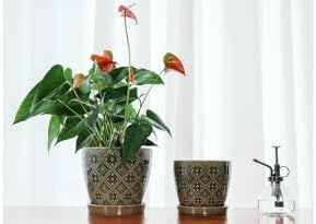 Docrin Dark Green Ceramic Planter Set - 6.6"+5.5" Indoor Outdoor Pots with Drainage Holes & Saucers for Home Office Decor - Image 5