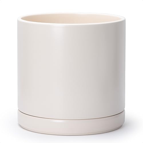 D'vine Dev 12 Inch Ceramic Planter Pot, Oatmeal, 94-O-F-8 by DvineDevPlanterPotsandStand
