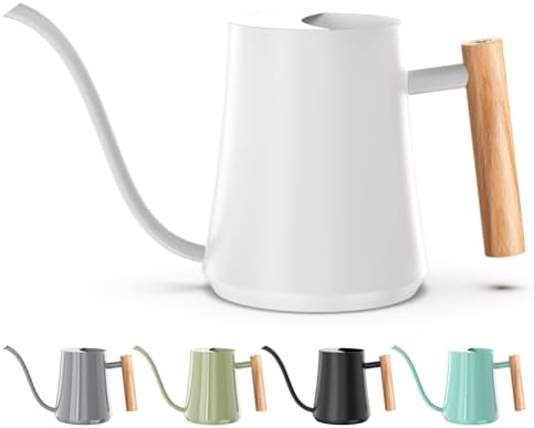 Green Moon 1L/35oz Metal Watering Can Indoor with Long Spout, White by GreenMoon