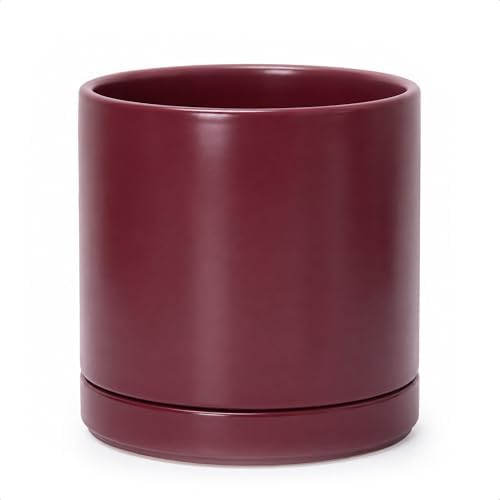 D'vine Dev 10 Inch Ceramic Planter Pot, Cordovan, 94-O-E-4 by DvineDevPlanterPotsandStand