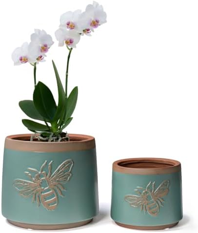 Terracotta Pots, 6+4 Inch Plant Pots, 2 Pcs with Drainage Holes by YBXYIBOXUAN