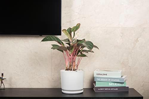 Ekirlin 9 inch Plant Pots,Ceramic Flower Planters Indoor,Modern Succulents Containers with Drain Hole Saucer,Decorate Home,Office & Outdoor (White) - Image 4