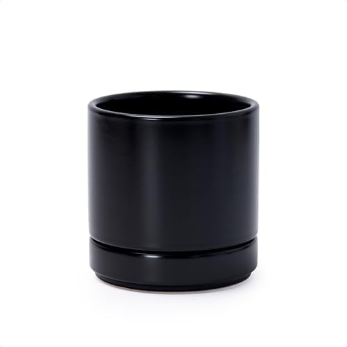 D'vine Dev 4.7 Inch Ceramic Planter Pot, Black, 94-O-B-2 by DvineDevPlanterPotsandStand