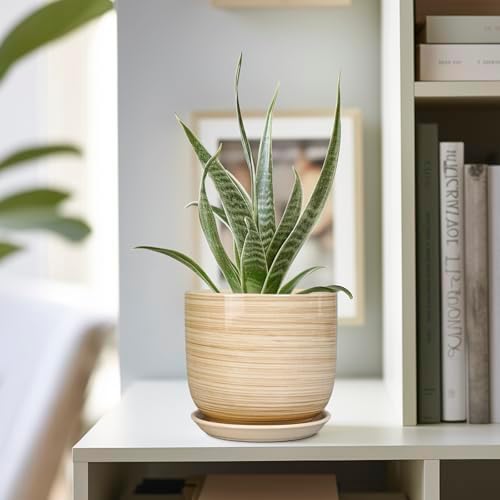 Ceramic Plant Pot 5 Inch - Modern Round Succulent Planter for Indoor Plants with Drainage Hole and Saucer, Office Home Room House Decor, Yellow - Image 5