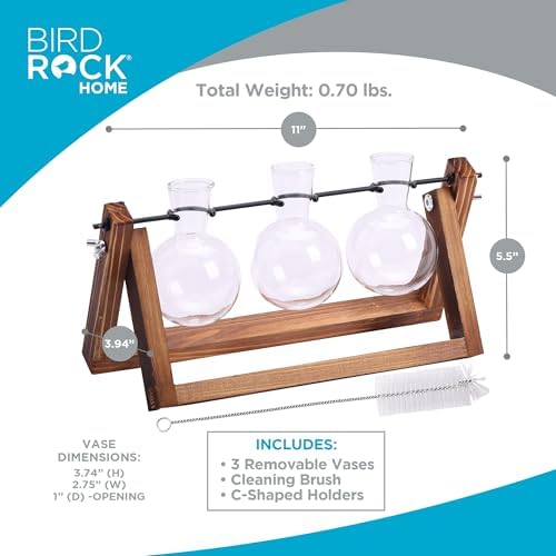 BIRDROCK HOME Plant Propagation Station | 3 Bulb Vase with Wooden Stand Terrarium | Great Gift Idea for the Home Office Garden | Hydroponics Plants - Image 3