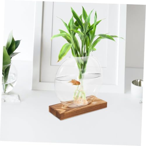 SMASOLO 2pcs Hydroponic Glass Vase with Wooden Terrarium Stand, Propagation Planter for Home and Office, Decorative Green Plant Desk Vase Set - Image 5