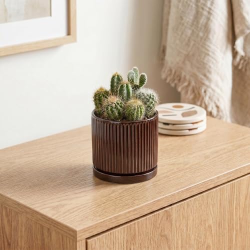 Succulent Pots 4 Inch, Ceramic Plant Pots, Round Planter, Brown - Image 5