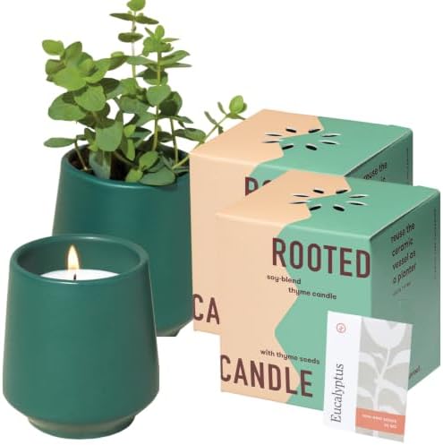 Modern Sprout Soy Candle Planter - Grows Thyme - Tonka Bean Scent - 2-Pack by ModernSprout