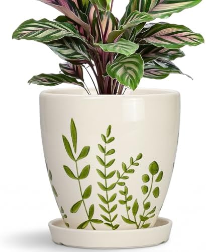 MPotTo Ceramic Pots for Plants - 6 Inch Plant Pot for Indoor Outdoor Plants, Ceramic Planter with Drainage Hole and Saucer, Decorative Round Planter, Gifts for Plant Lovers, Home Room Decor, White by MPotTo