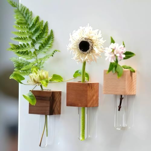 3PCS Mini Plant Propagation Station Set - for Window, Fridge, Wall, Office, Kitchen Decor, Home Plant Display,Inculd Glass Test Tube Vases Magnet and Adhesive Backed Wooden Holders by NUOLUTH