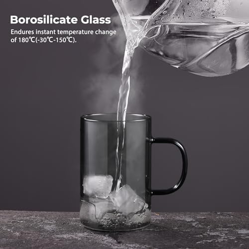 ecooe Black Glass Tea Mug with Stainless Steel Infuser and Lid 16.9oz - Image 3