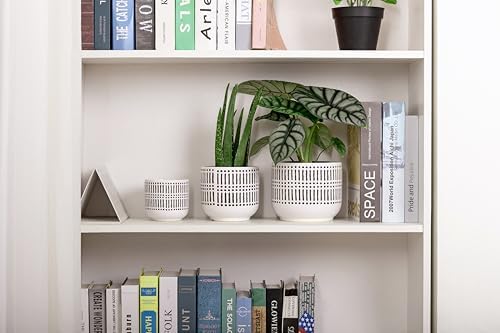 Docrin 3-Pack Ceramic Plant pots Set - 6.5"+5.3"+4" Dual-Tone Flower Pots with Drainage Holes, Modern Indoor Outdoor Planters for Succulents/Herbs/Large Plants, Home Office (Brownish Black & White) - Image 6