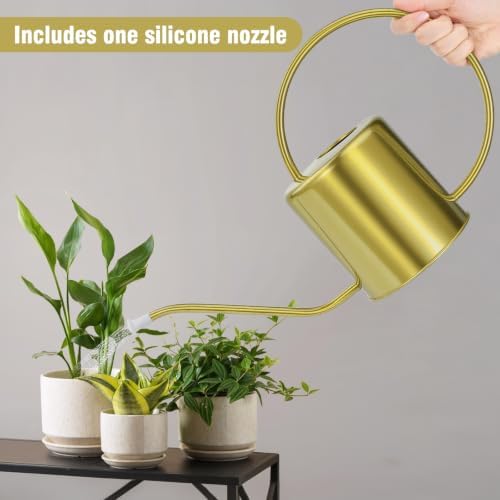 Plant Watering Can, 50 oz / 1500 ml Stainless Steel Metal - Modern Decorative with Long Spout for Indoor Potted Plants, Bonsai, Garden Flowers, Gold - Image 4