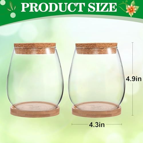Biggun 2 Pcs Glass Plants Propagation Stations for Home Office Decor - Image 7