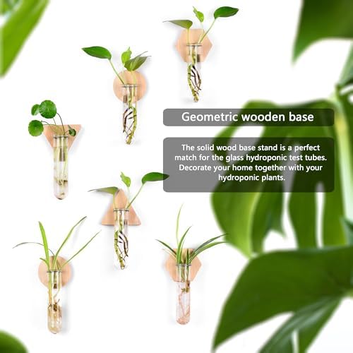 Wall Hanging Glass Planter Plant Propagation Station - Image 6