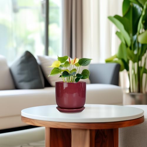 Ceramic Plant Pot - 5 Inch Modern Round Planter for Indoor Plants with Drainage Hole and Saucer, Patio Office House Room Bathroom Decor, Red - Image 4
