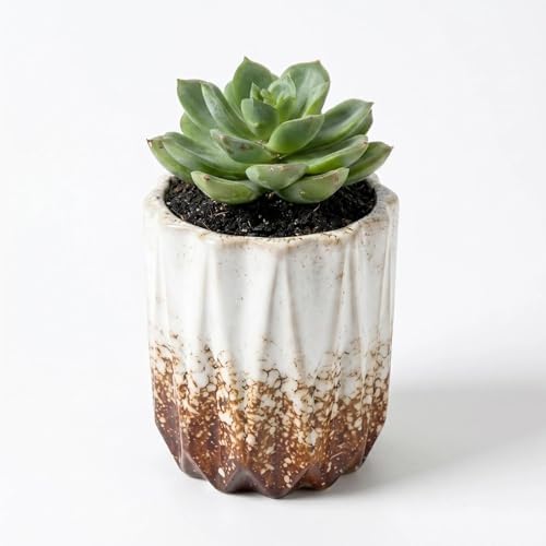 Succulent Plant Pots Ceramic Plant Pots and Drainage Hole Bonsai Planter Small Flower Pots for Indoor Outdoor Use for Home Office Garden Decoration,Plants Not Included (White B) by SUSOYAOCHEN