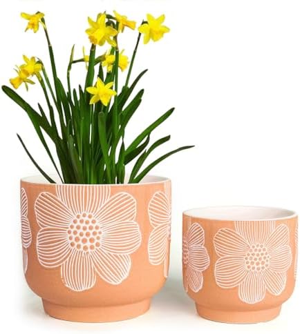 Ceramic Plant Pots, 8+6 Inch, 2 Pcs Indoor Planters with Drainage Holes by YBXYIBOXUAN