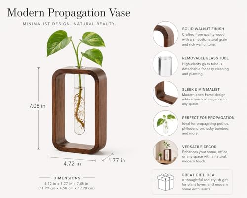 Modern Wooden Frame Glass Vase Hydroponic Planter – Minimalist Square Propagation Station with Test Tube Vase – Indoor Plant Terrarium for Flower, Cuttings & Home Office Decor - Image 3