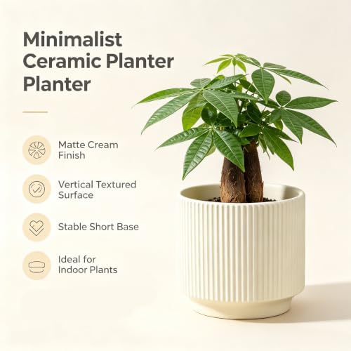 Ceramic Pots 5.1 Inch Fluted Beige Ceramic Planters Round Flower Pots with Drainage Hole for Desk Modern Office Living Room Table Shelf Home Indoor Outdoor Decor(Beige, Medium) - Image 3