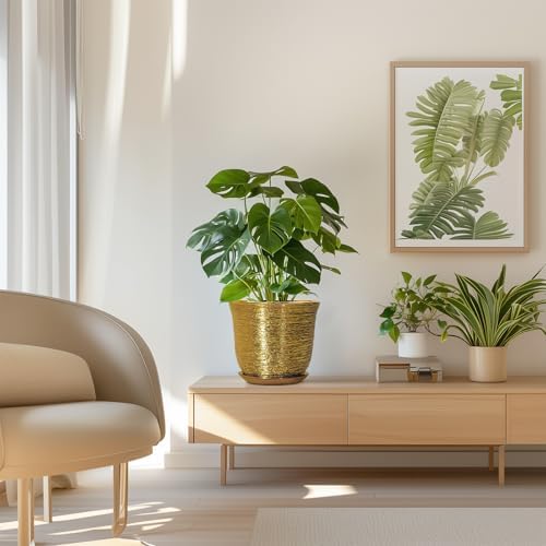 Ceramic Plant Pots - 8 Inch Plant Pot with Drainage Hole and Saucer, Round Planter for Indoor Outdoor, Modern Flower Pot, Decorative Planter, Garden Home Office Decor, Gardening Gifts, Gold - Image 7