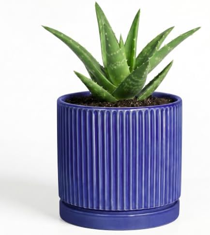 Ceramic Plant Pots 4 Inch, Round Planter with Saucer, Blue by Unknown