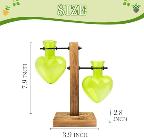 XXXFLOWER Plant Propagation Station Terrarium 2 Green Heart Shaped Vase - Image 2