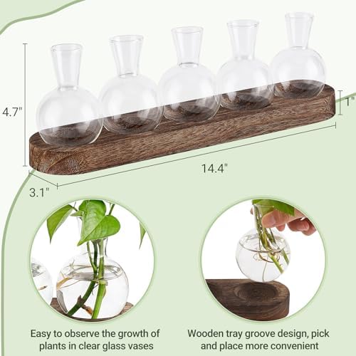 Mkono Plant Propagation Station, Desktop Glass 5 Bulb Vase Brown Wood Tray - Image 5