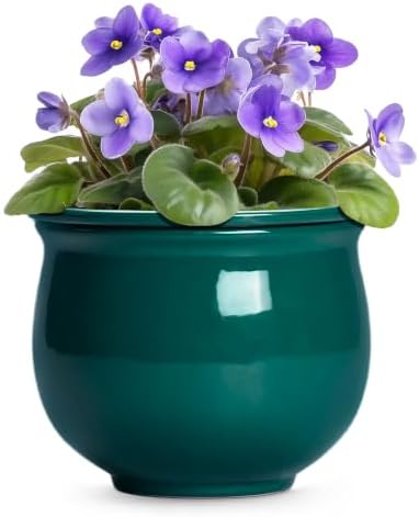 8 Inch Ceramic Self-Watering Flower Pots, Blackish Green by Teagas