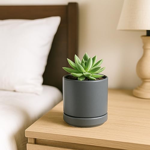 D'vine Dev 3.5 Inch Ceramic Planter Pot, Grey, 94-O-A-3 - Image 3