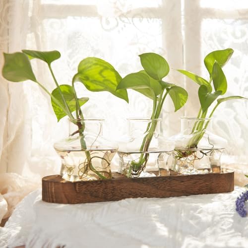 XXXFLOWER Plant Propagation Station with Wooden Stand 3 Star Jars - Image 4