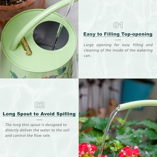 2L Long Spout Watering Can, Stainless Steel Water Can (Robin) - Image 3