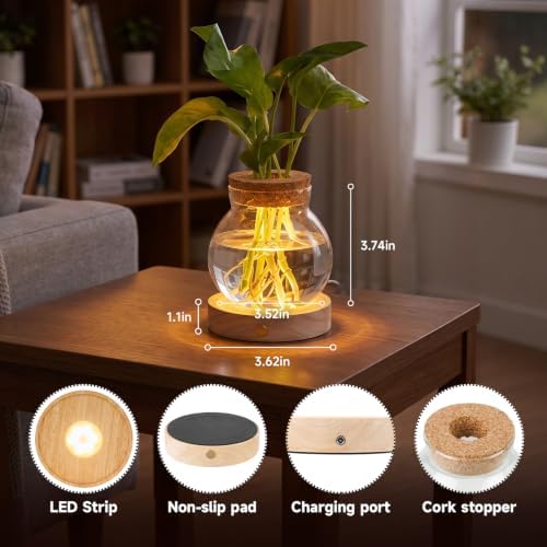 Plant Propagation Station with Wooden Saucer, Glass Terrarium with Stepless Dimming Function Hydroponic Glass Container Vase Jars Gardening Gifts for Mom Women Plant Lovers(2 Pack) - Image 2
