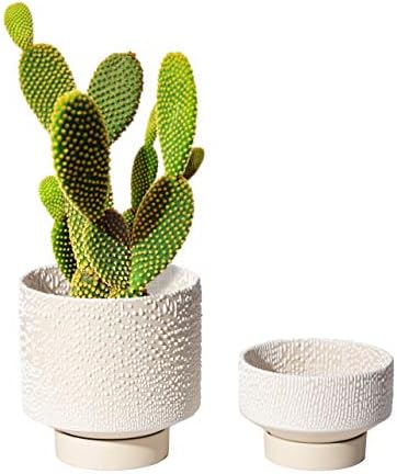 UBEE Planter Ceramic Flower Pot for Indoor Plants | 5.5 inch + 4.9 inch Plant Pots with Drainage Hole and Saucer for Aloe, Snake Plants, Pothos, Orchid, Beige with White Glaze Dot by Unknown
