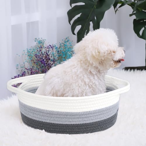ABenkle Small Basket with Handles, Boho Decorative Rope Woven Dog Cat Toy Storage Bin Shelf Storage Organizer, Easter Christmas Gift Basket, 12"x8"x5" - Image 4