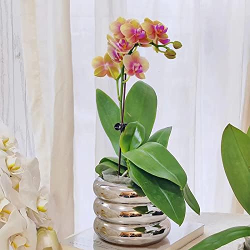 Ceramic Plant Pot Indoor, 4.5 Inch Flower Pot with Drainage Hole, Small Bubble Design Ceramic Planter for Home & Office Decor (Silver) - Image 6